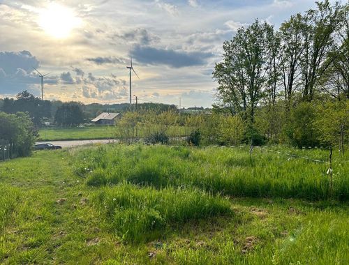                                         Terrain à bâtir à vendre à Bekkevoort, € 129.000
