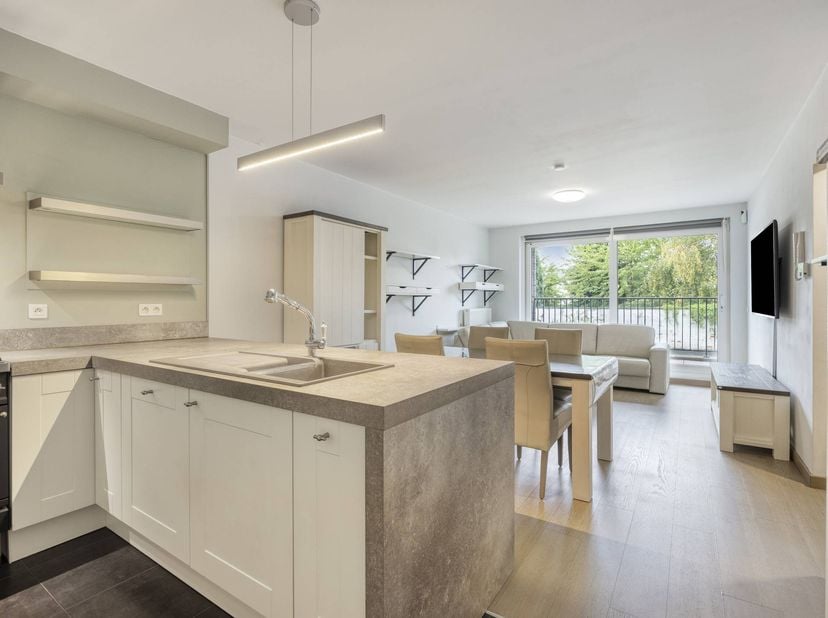 Disposition<br />
<br />
Premier étage :<br />
- hall d'entrée avec vestiaire<br />
- salon et salle à manger complets<br />
- cuisine ouverte équipée