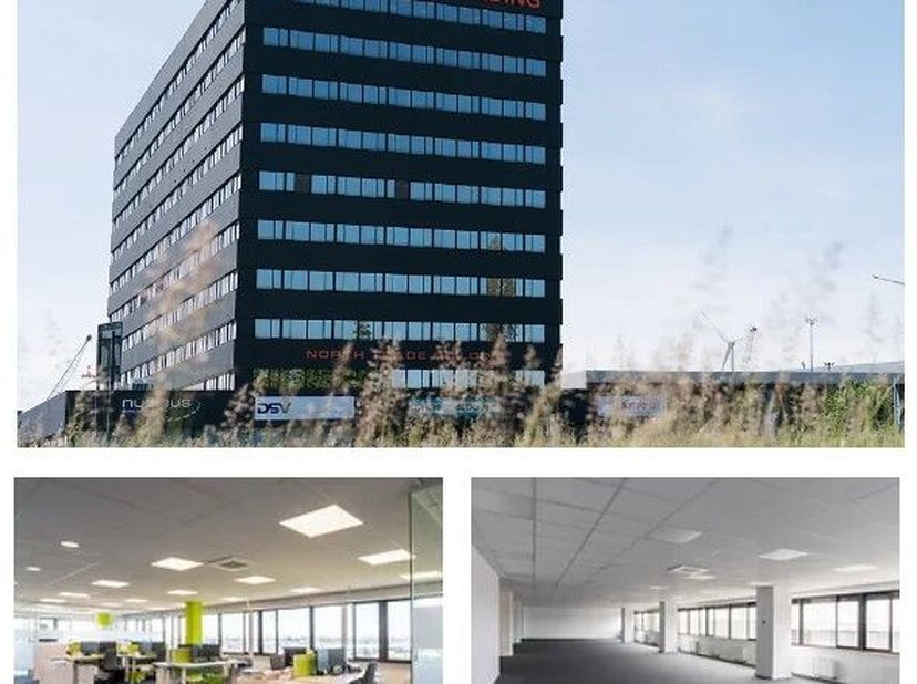 De beschikbare ruimtes in het North Trade Building maken een dynamische en professionele bedrijfsvoering mogelijk op een strategische locatie aan de h