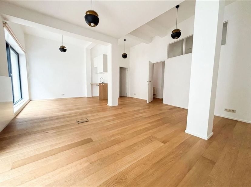 Bien professionnel à vendre à Rue de Danemark 70,
                    1060 Saint-Gilles