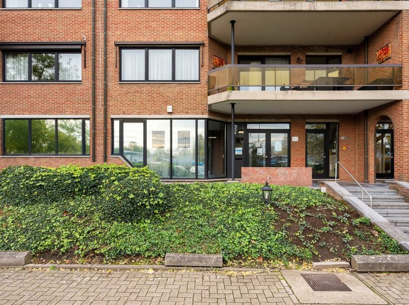 Dit handelspand van ruim 500m² met 8 privé parkeerplaatsen bevindt zich op een zicht locatie aan de ring van Turnhout met vlotte bereikbaarheid van de