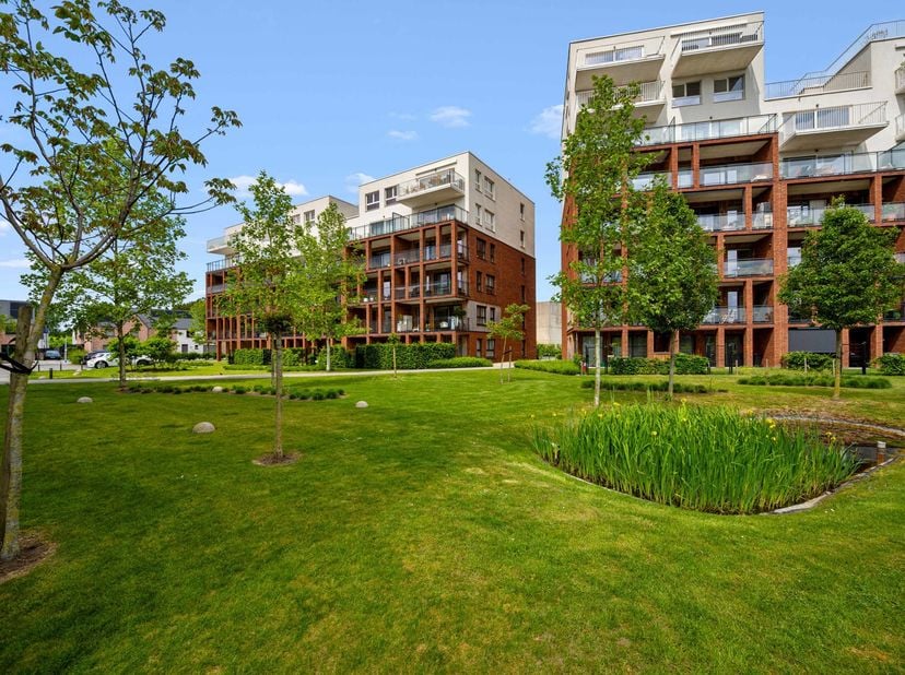 Appartement te huur in Rietvoornstraat 40 bus 401,
                    8530 Harelbeke