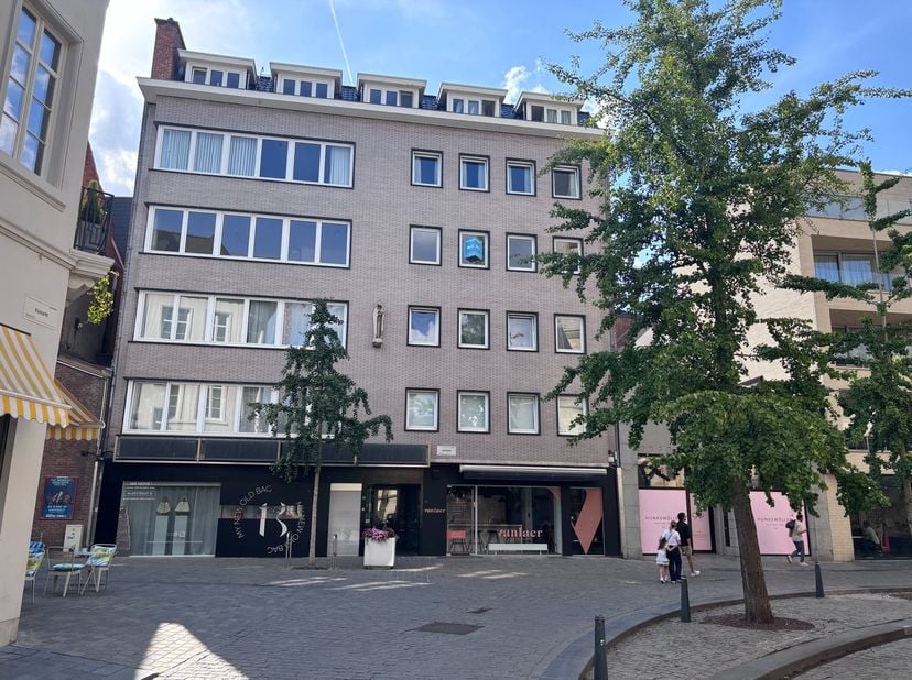 Bien professionnel à louer
                    à 3500 Hasselt