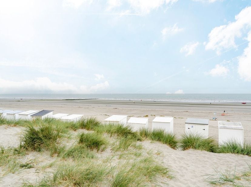 Ruim gerenoveerd appartement op de Zeedijk van Nieuwpoort met zicht op zee en duinen. Dit prachtig gerenoveerde appartement combineert ruimte, comfort