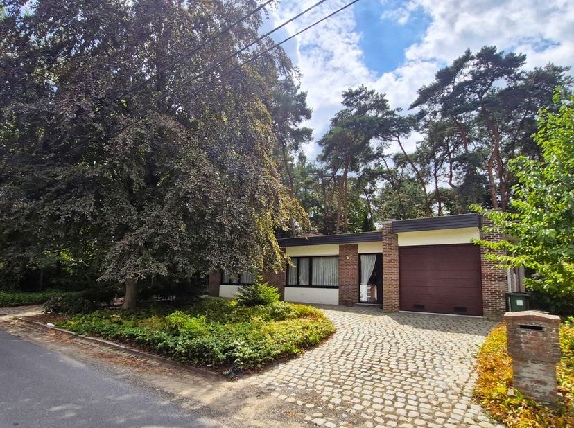 Deze goed onderhouden bungalow in Heist-op-den-Berg is rustig gelegen op een mooi perceel van ruim 13 are, omgeven door groen. De woning geniet van ee