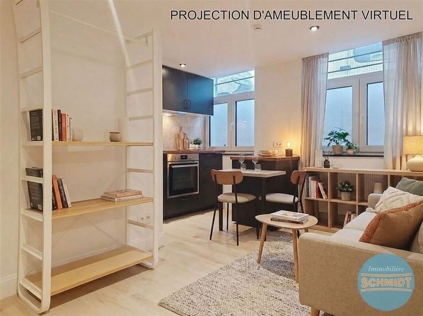 IMMOSCHMIDT (Ref.29568 - IXELLES (Flagey) : Mooie gerenoveerde studio in het souterrain bestaande uit een mooie woonkamer met open keuken en doucherui