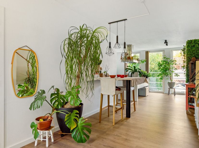 Triplex appartement op top locatie!<br />
<br />
Ligging:<br />
Borgeindstraat 36 geniet van een rustige en aangename ligging in Schoten, met winke