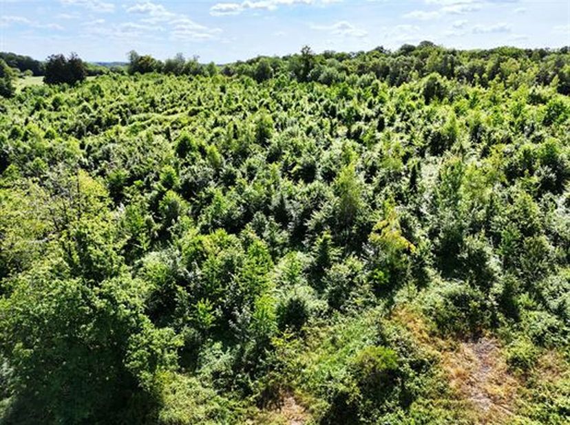 Terrein met een matige helling, op het noorden gelegen. Gemakkelijke toegang via een geasfalteerde weg die naar het perceel leidt.<br />
Leem- en stee