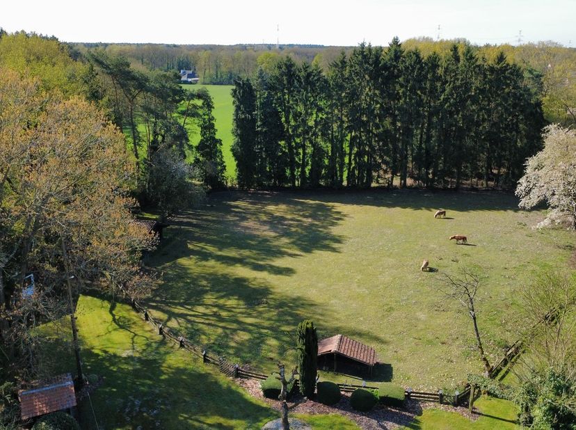 Uniek gelegen vrijstaande gezinswoning met 3 slaapkamers midden in de natuur op een perceel van 54 are in As centrum!<br />
<br />
Deze ruime gelijkvl