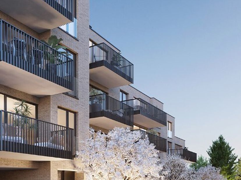 Appartement à louer
                    à 3910 Neerpelt