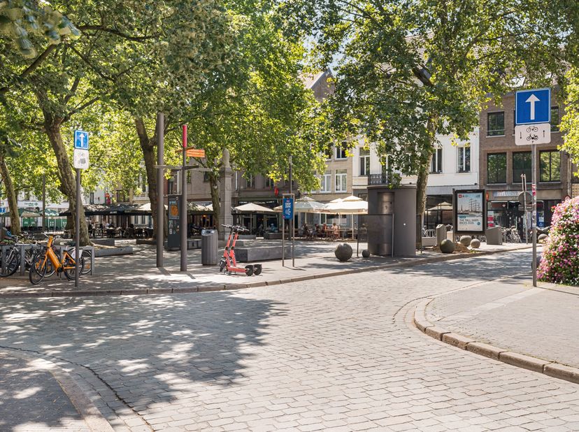Appartement à vendre
                    à 2000 Antwerpen