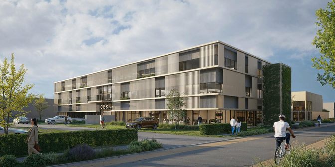 Bedrijfsvastgoed te huur in Cesar van Kerckhovenstraat 110, 2880 Bornem