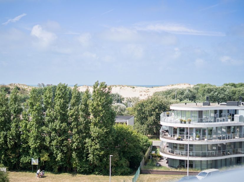 Dit volledig gerenoveerde doorloopappartement met twee slaapkamers combineert een uitzonderlijke ligging met een hoogwaardige afwerking en een aangena