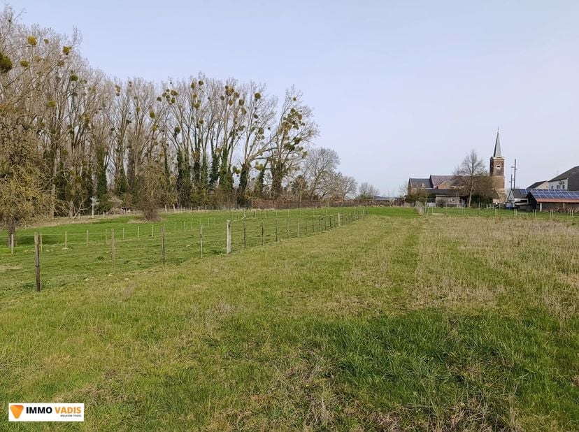 Terrain à vendre
                    à 3740 Mopertingen