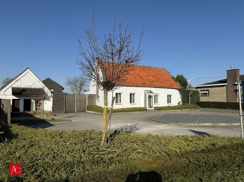 Maison à vendre
                    à 9170 Sint-Gillis-Waas