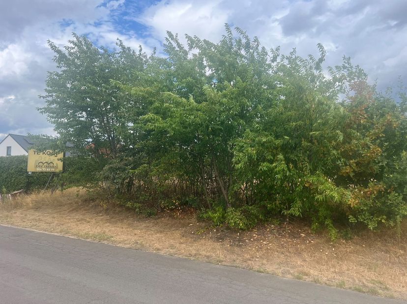 Grond te koop in Veldweg lot 3,
                    2490 Balen