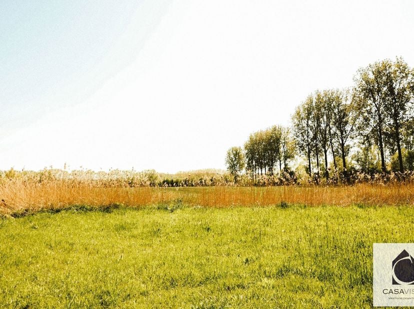 UNIEK GEHEEL VAN 2 WEIDEN EN BOS IN NATUURGEBIED "DE NUCHTEN"<br />
Aan de rand van één van de mooiste natuurgebieden van onze streek, De Nuchten, bev