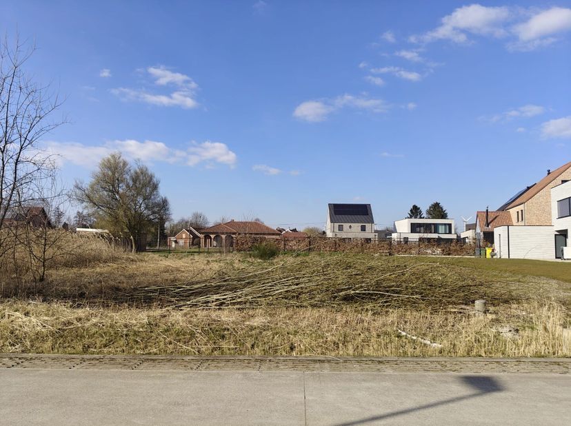 Terrain à vendre
                    à 2490 Balen