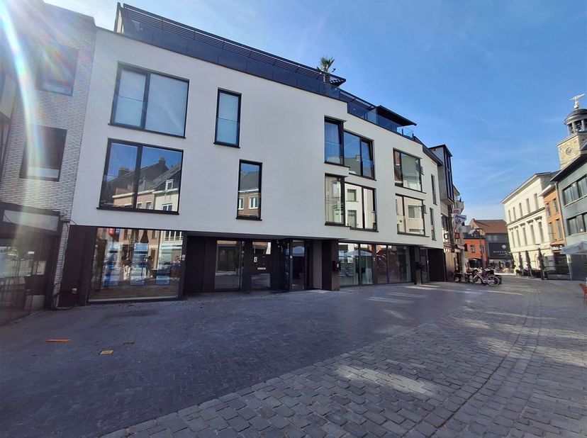 Bien professionnel à vendre à Langemuntstraat 15,
                    9400 Ninove