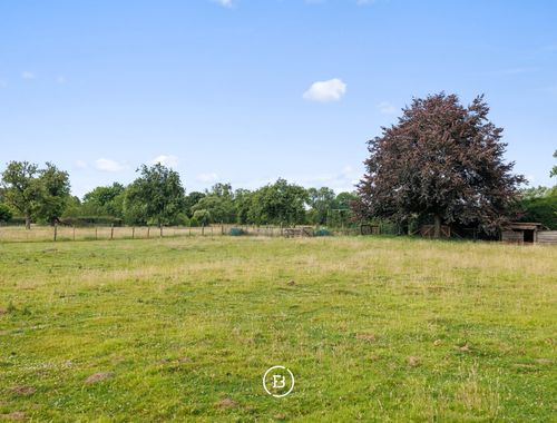                                        Terrain à bâtir à vendre à Elingen, € 330.000
