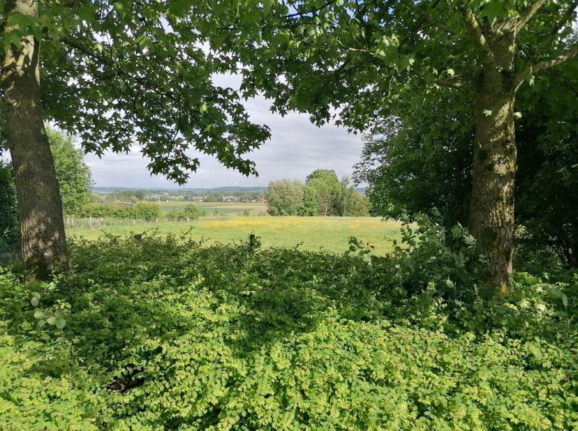 Huis te koop in Blaarhoek 7,
                    9790 Elsegem