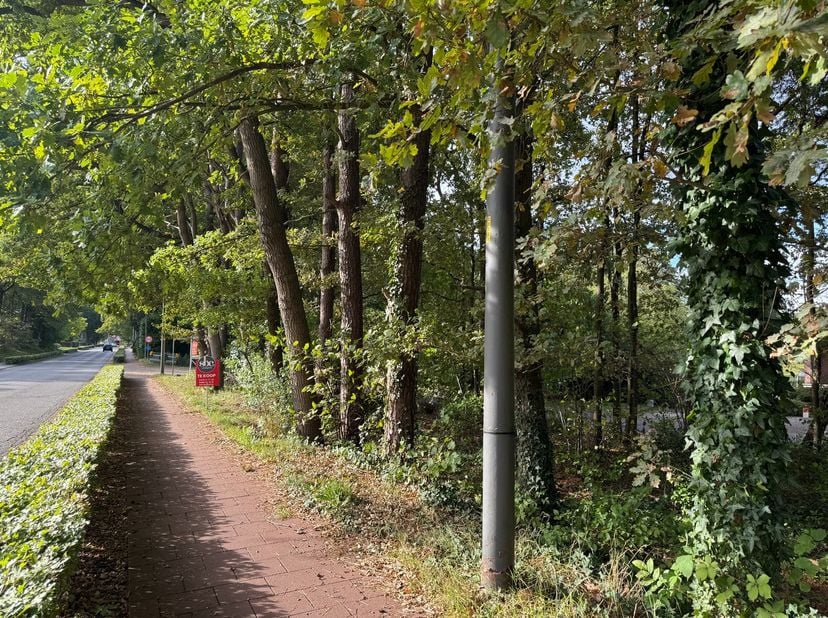Uitstekend gelegen open bouwplaats&amp;nbsp;op 10a 85ca.<br />
<br />
Adres: Houthalen, Herebaan-West 78.<br />
Mogelijkheid om te bouwen aan de Herebaan-