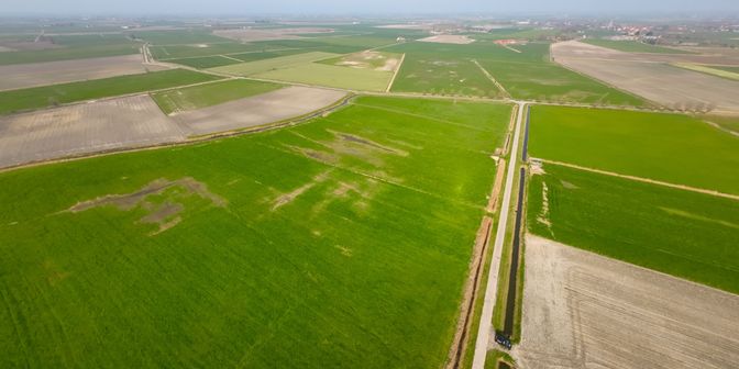 Grond te koop in Blauwe-Reigerstraat x, 8600 Diksmuide