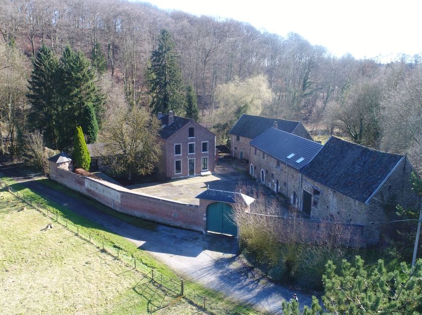 Tussen Luik en Namen, genesteld in het hart van een vallei, oude molen/boerderij op 3 ha 72 a, gerenoveerd tot een privéwoning met kantoorruimte, twee