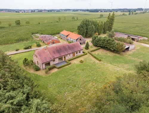                             Ferme à vendre à Eeklo
