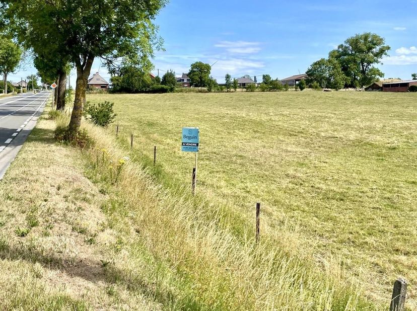 GOEDGELEGEN PROJECTGROND (1ha47a60ca) te Ghislenghien (ATH). VEEL POTENTIEEL, mogelijk te verkavelen. STRAATBREEDTE 175m! Geeft uit in 2 straten. Geen