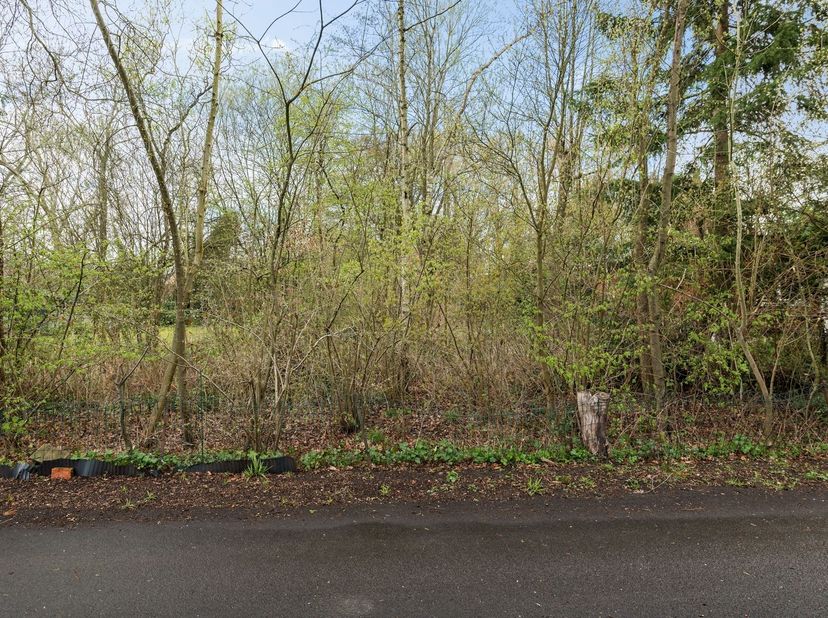 Grond geschikt voor een open bebouwing in weekend zone met een oppervlakte van meer dan 800 m² gelegen te Schilde<br />
(geen domicilie mogelijk) <br