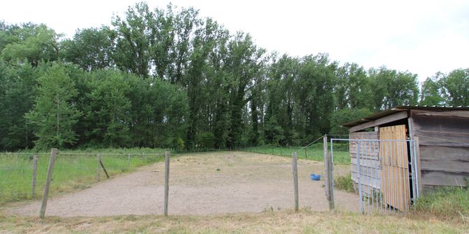 Grond te koop in Billegem, 9340 Wanzele