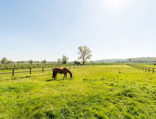                                         Hoeve te koop in Petegem-aan-de-Schelde, € 1.695.000
