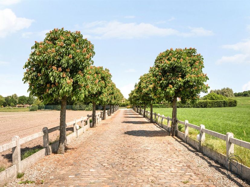 Prachtig gelegen eigendom op een uitzonderlijke locatie met adembenemende verzichten (mogelijkheid overname aandelen). <br />
Verscholen in alle rust