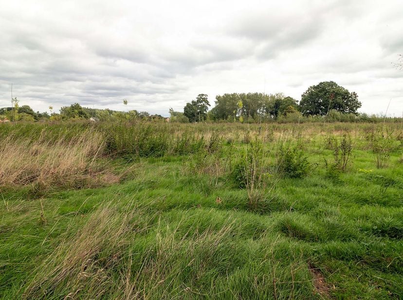 Grond te koop in Klein Boschveld .,
                    3830 Wellen