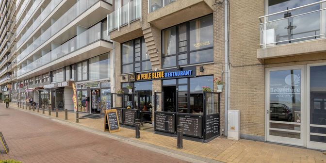 Bedrijfsvastgoed te koop in zeedijk 108, 8370 Blankenberge