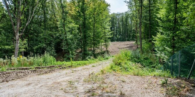 Grond te koop in Allée des Geais, 5600 Neuville