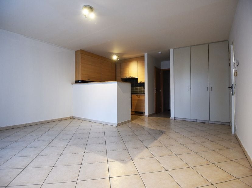 Gelijkvloerse studio (41m²) met open keuken met spoelbak, keramische kookplaat, dampkap, oven, koelkast en vaatwasser, living / slaapruimte met ingema