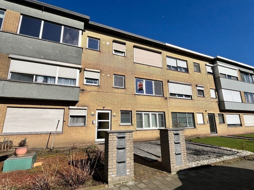 Appartement à louer
                    à 2940 Hoevenen