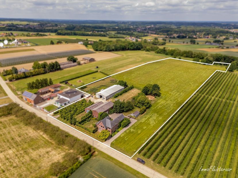 Découvrez cette propriété unique sur un terrain de pas moins de 3,4 hectares, située à seulement 4 km du centre de Tielt-Winge et à moins de 10 minute