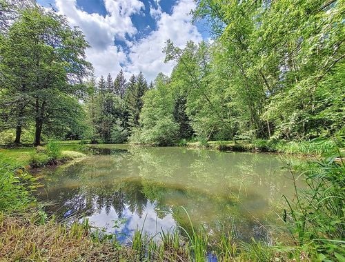                                         Bos te koop in Mussy-la-Ville, € 149.000
