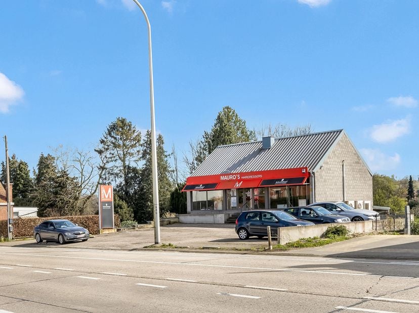 Bien professionnel à vendre à Staatsbaan 49,
                    3210 Lubbeek