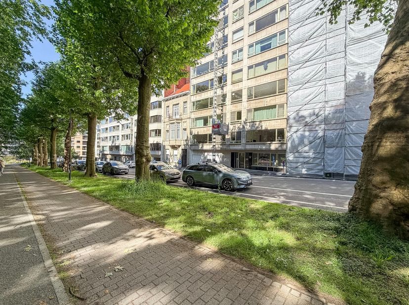 Wonen met het park als je voortuin, cultuur om de hoek en de stad binnen handbereik.<br />
<br />
Dit ruime en lichtrijke 1slpk appartement ligt op ee