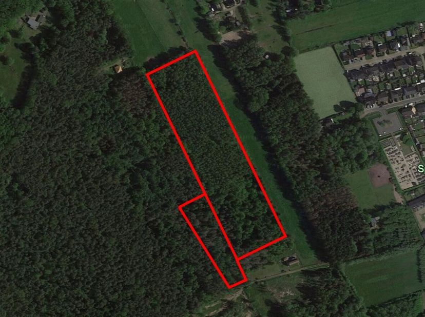 Twee bosgronden te koop (33.425 m²)<br />
Bent u op zoek naar een waardevolle investering in natuurgrond of een unieke plek om te genieten van rust en
