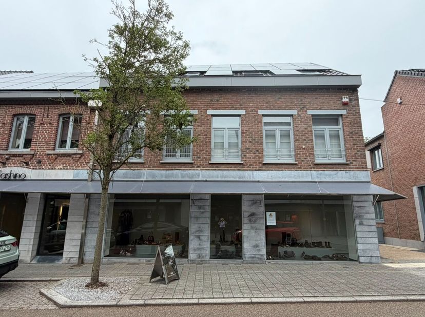 Duplexappartement met 3 slaapkamers en terras in het centrum van Herk-de-Stad. Voor meer informatie ga naar: https://www.era.be/nl/te-huur/herk-de-sta