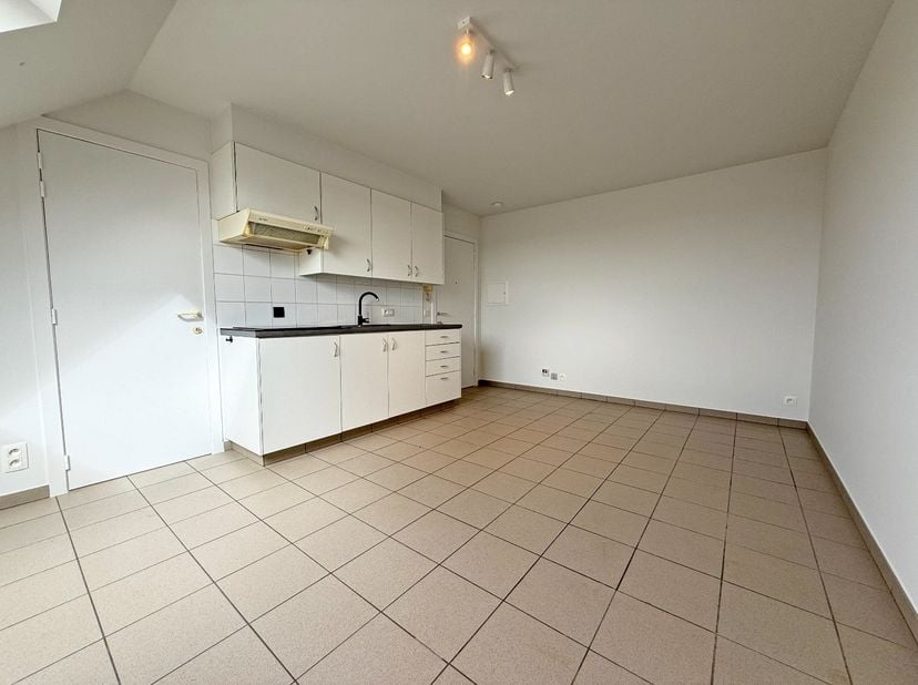 Appartement à louer
                    à 8930 Menen