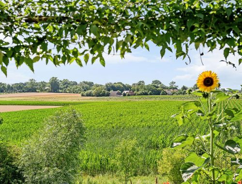                                         Bed and breakfast te koop in Mater, € 855.000
