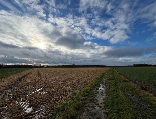                                         Terrain agricole à vendre à Werchter, € 40.000
