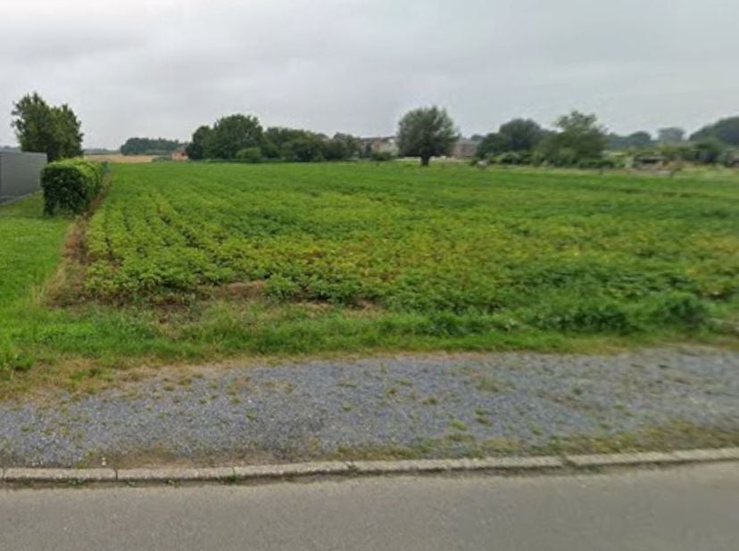 UNIEK PERCEEL MET TOEKOMSTPOTENTIEEL – GRIMBERGEN<br />
Te koop: interessant perceel van ca. 15 are gelegen in de omgeving van de Priesterlindebaan /