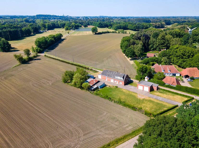 Renovatieproject met veel potentieel op 62.528m²! <br />
<br />
Bent u op zoek naar een project met eindeloze mogelijkheden in een landelijke doch c